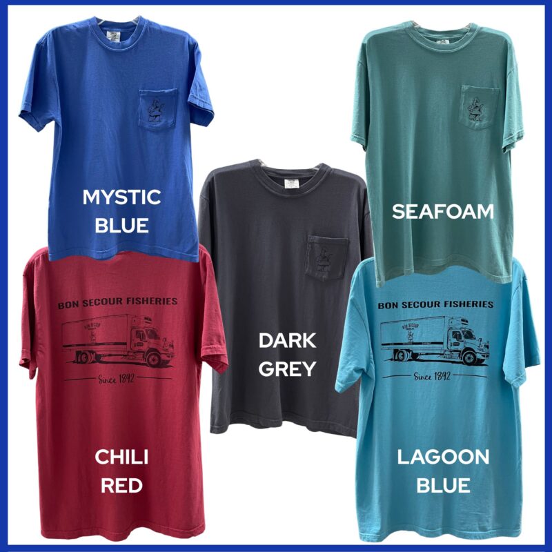TRUCK T-SHIRT - COMFORT COLORS - Image 2
